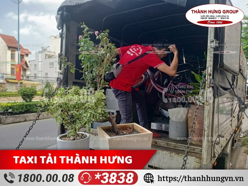 Dự án chuyển cây cảnh tại Quận 9 TPHCM