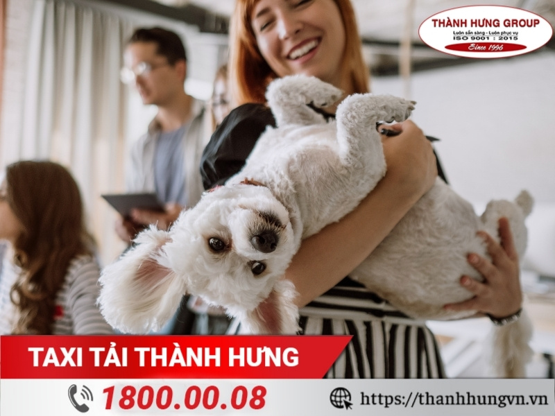 Kinh nghiệm Kubet khi có thú cưng