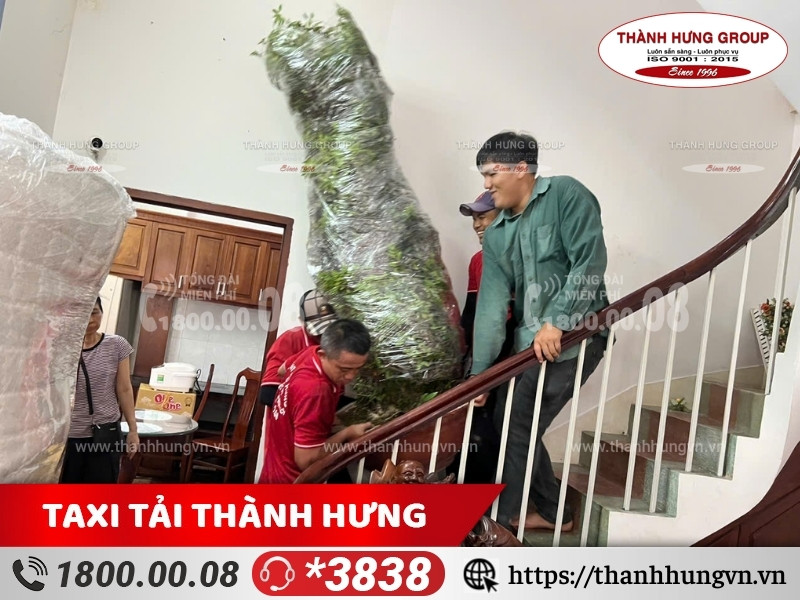 Quy trình vận chuyển cây cảnh an toàn nhanh chóng