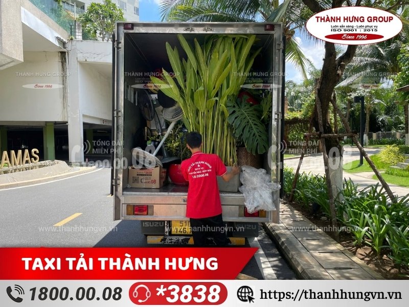 Ưu và nhược điểm của Dịch vụ - Kubet vận chuyển cây cảnh