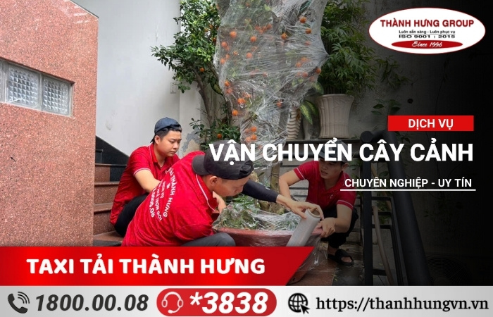 Vận chuyển cây cảnh